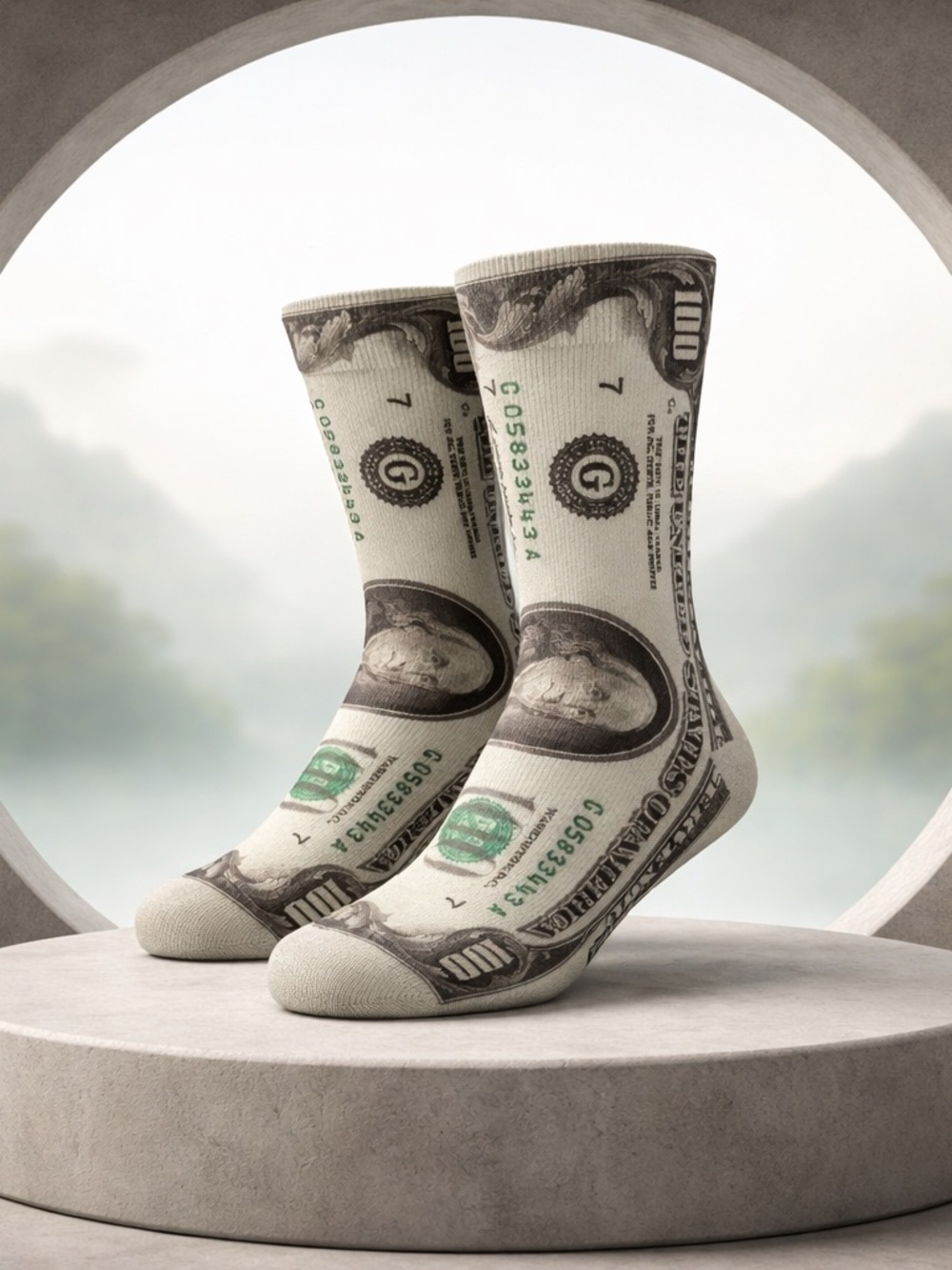 Novelty $100 Money Printed Ankle Women's Short Socks One Size